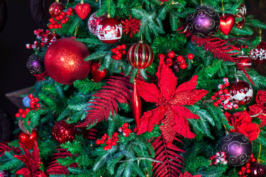 Similar image 22316507