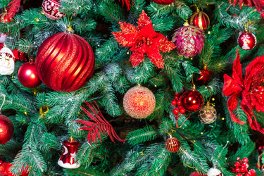 Similar image 22331609