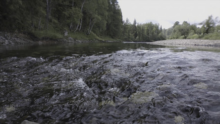 Similar image 22325622