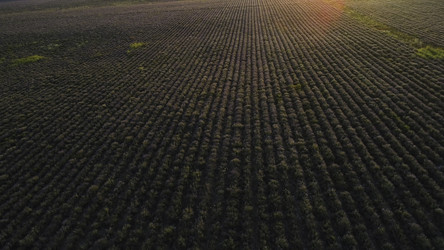 Similar image 22325623