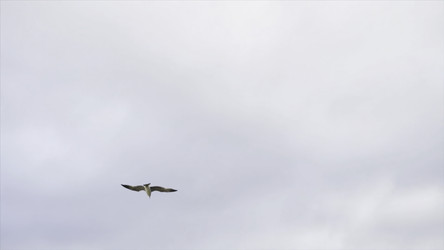 Similar image 22325641