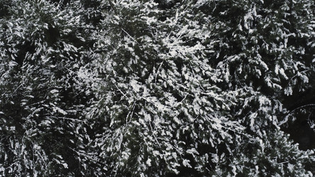 Similar image 22325642