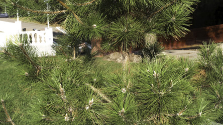 Similar image 22325647