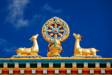 Similar image 22324416