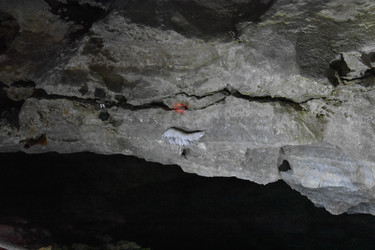 Similar image 22317463