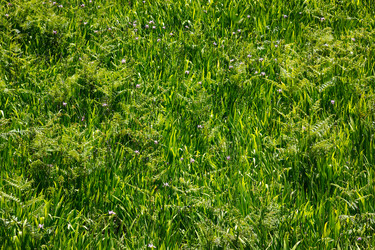 Similar image 22324875