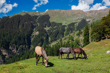 Similar image 22324876