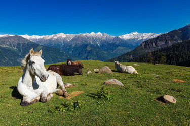 Similar image 22324877