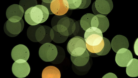 Similar image 22325652