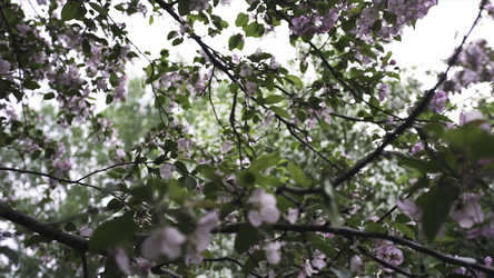 Similar image 22325654