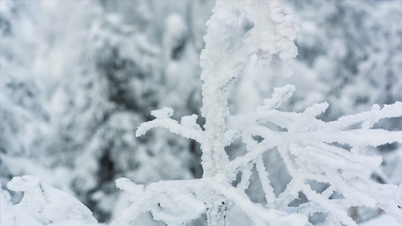 Similar image 22325665