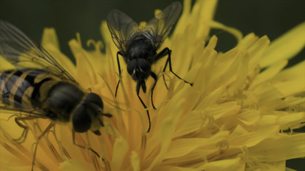 Similar image 22325897