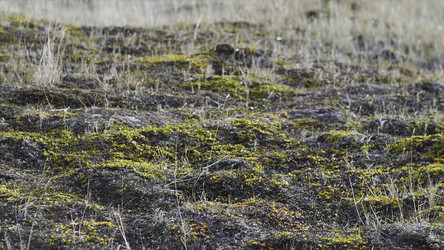 Similar image 22326252