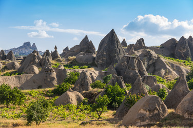 Similar image 22319102