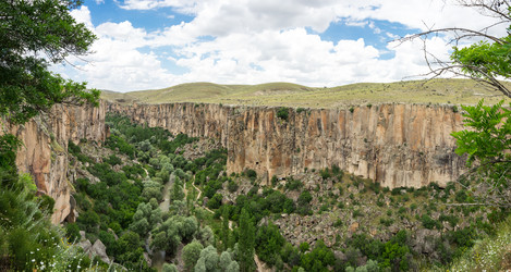 Similar image 22319108