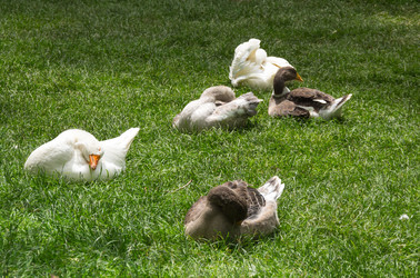 Similar image 22319109