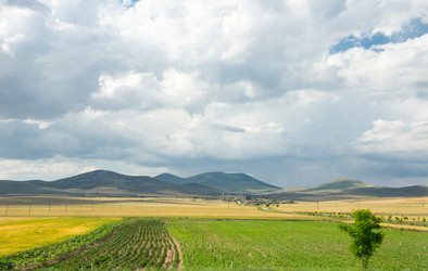 Similar image 22319112