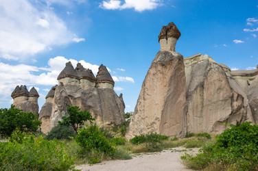 Similar image 22319131