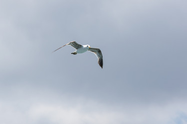 Similar image 22319142