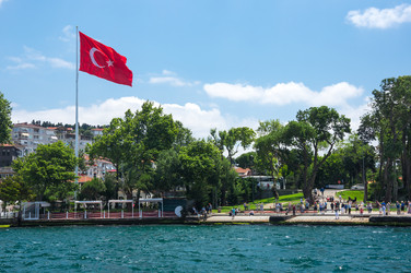 Similar image 22319146