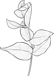 Similar image 22317504