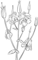 Similar image 22317505