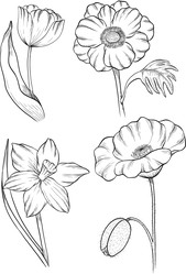 Similar image 22317506