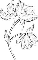 Similar image 22317507