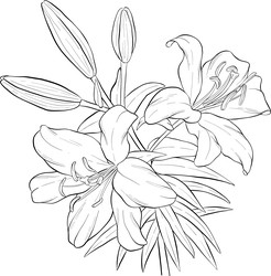 Similar image 22317509