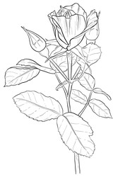 Similar image 22317510