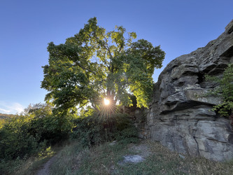 Similar image 22318589