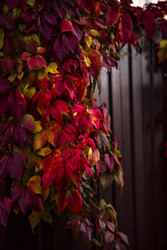 Similar image 22318591