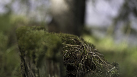 Similar image 22325681