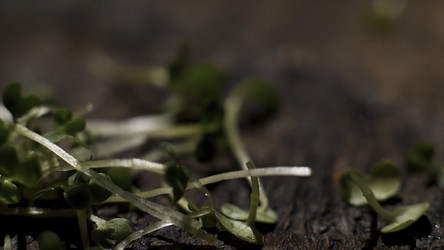 Similar image 22325899