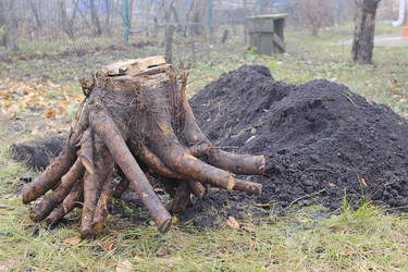 Similar image 22318595