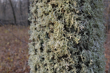 Similar image 22318596