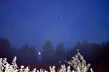 Similar image 22317511