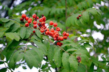 Similar image 22317512