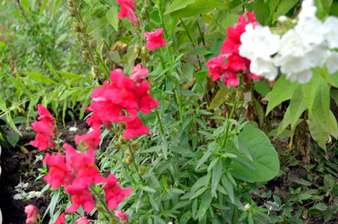 Similar image 22317515