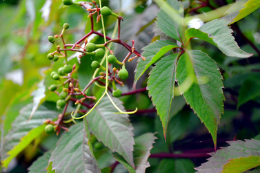 Similar image 22317516