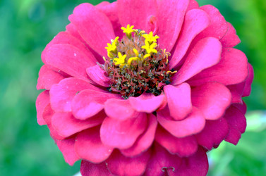 Similar image 22317517