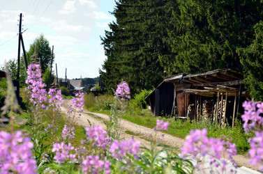 Similar image 22317518