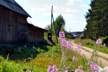 Similar image 22317519