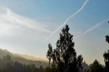 Similar image 22317521