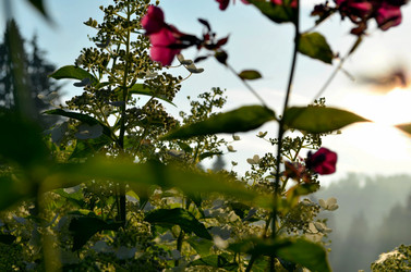 Similar image 22317522