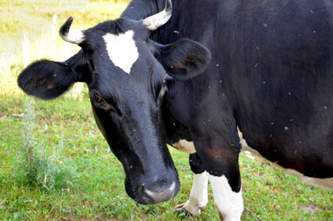 Similar image 22317523