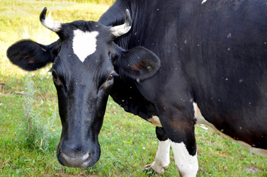 Similar image 22317524