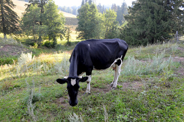 Similar image 22317525