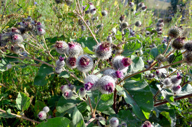 Similar image 22317526