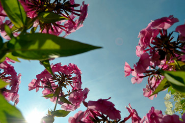 Similar image 22317527